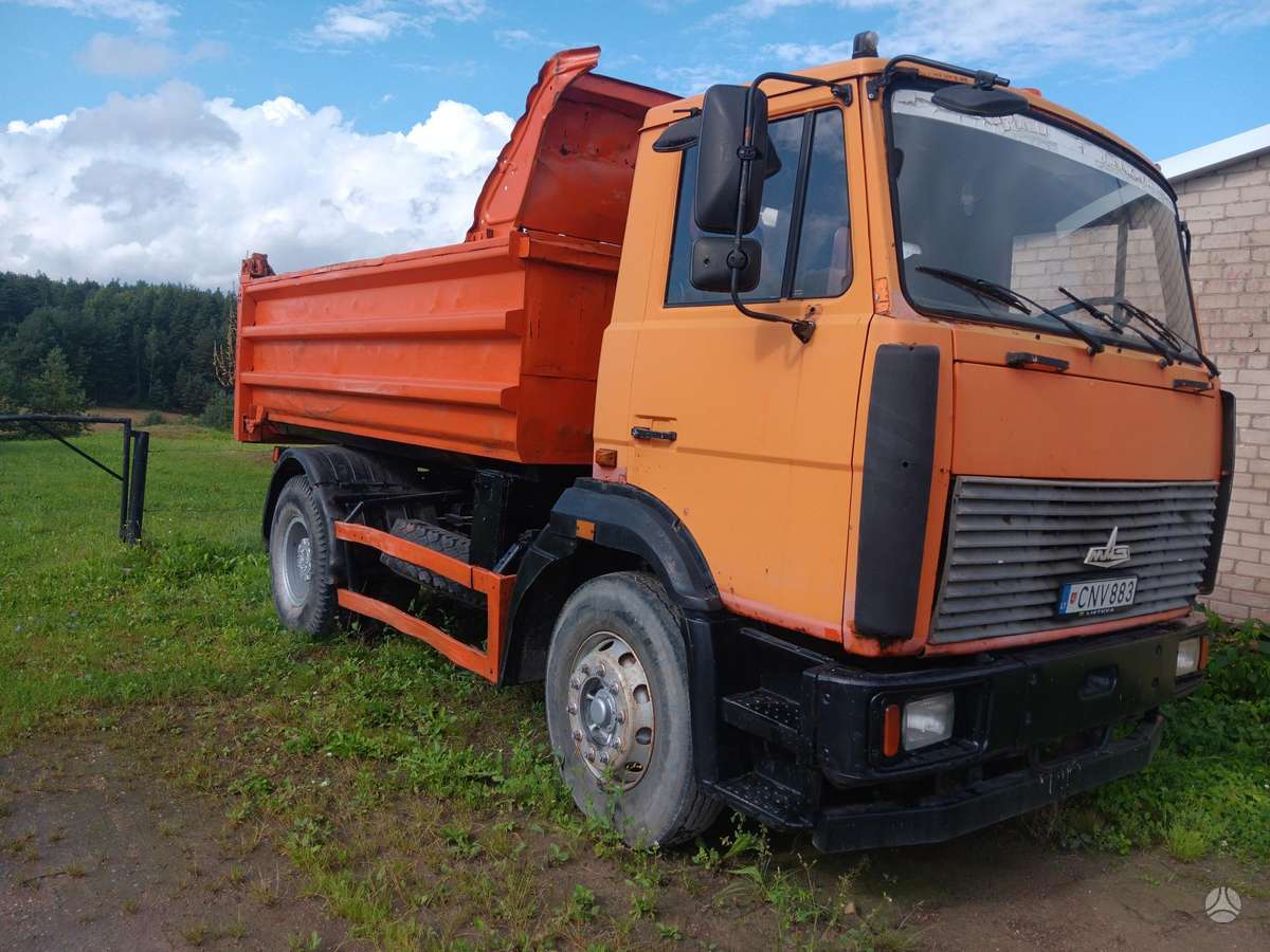 MAZ 55513, bortiniai
