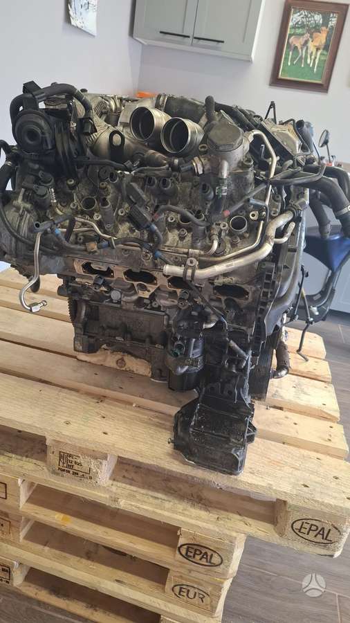 Audi A8 L, Ceua, variklis
