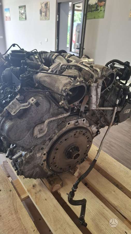 Audi A8 L, Ceua, variklis