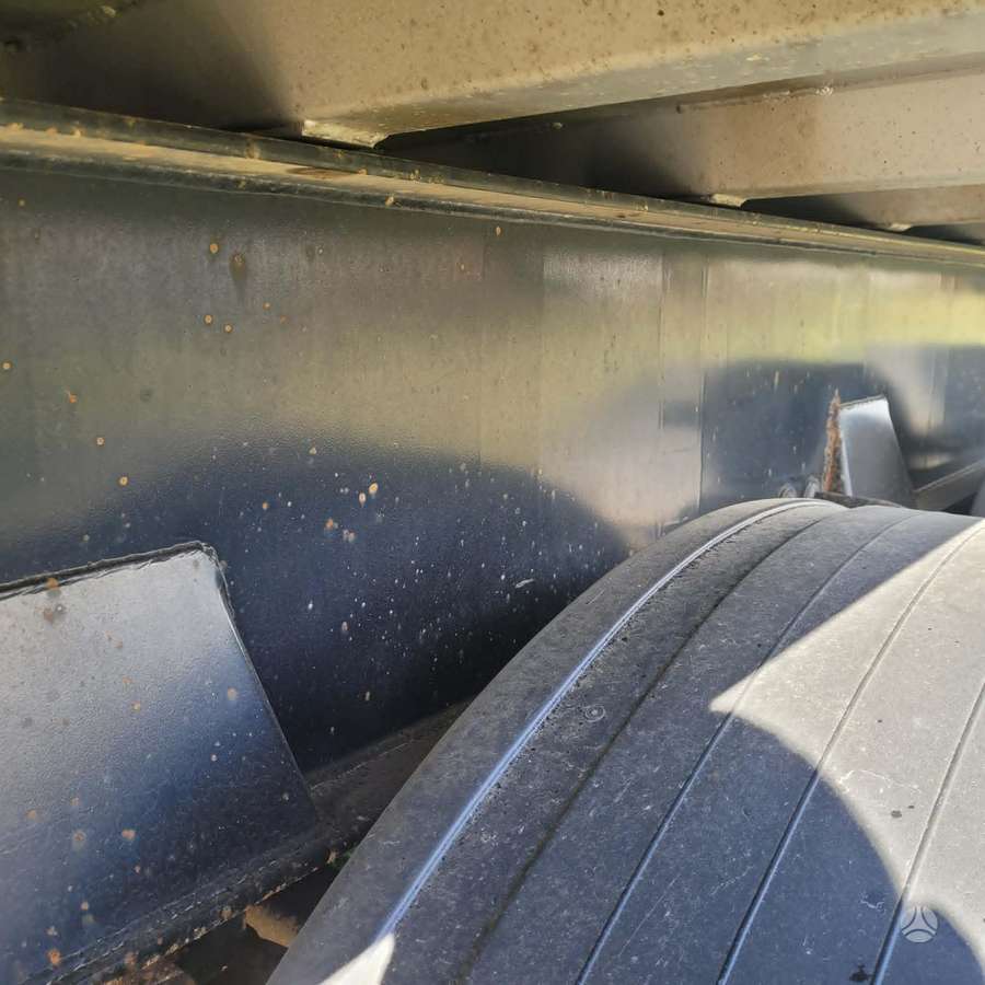 CMT, savivartės