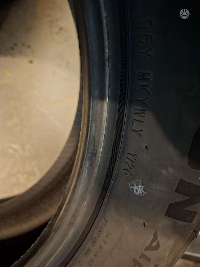 Sailun ALPINE EVO2, winter 225/55 R19