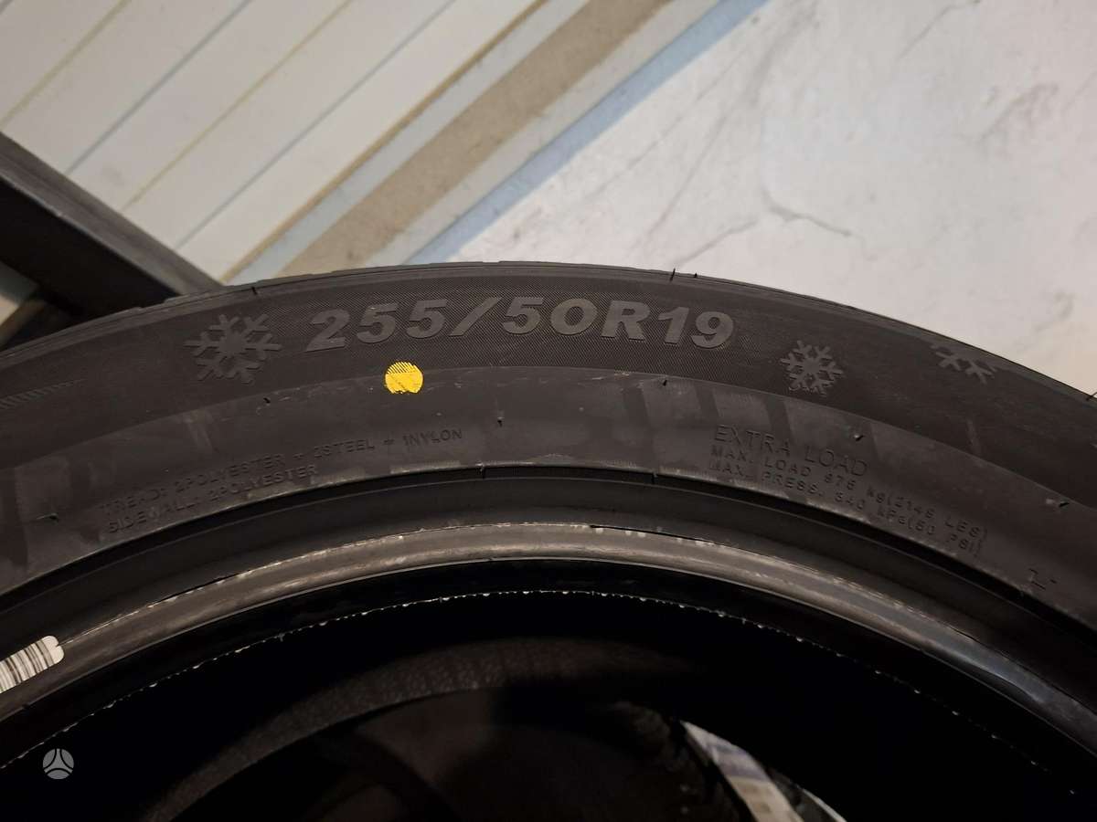 Sailun ALPINE EVO 2, winter 255/50 R19