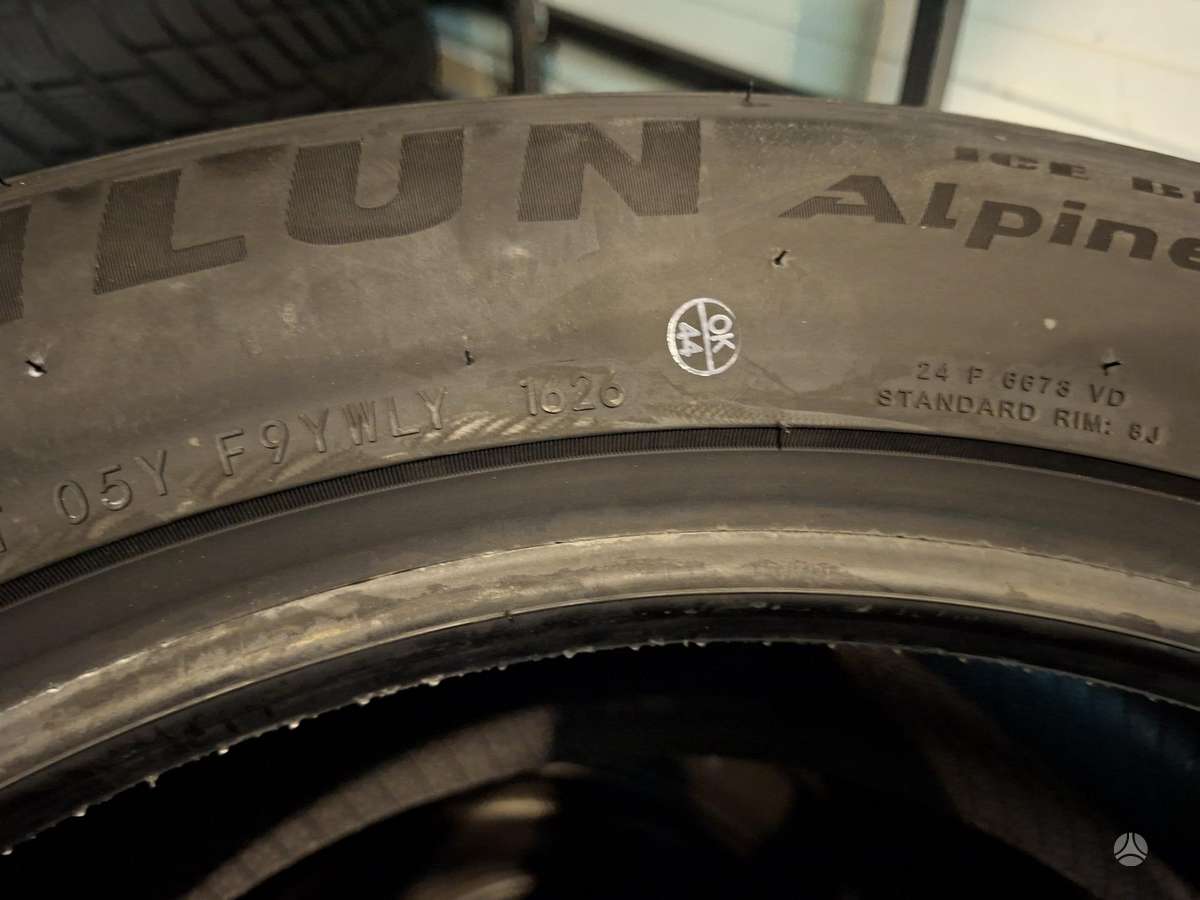 Sailun ALPINE EVO 2, winter 255/50 R19
