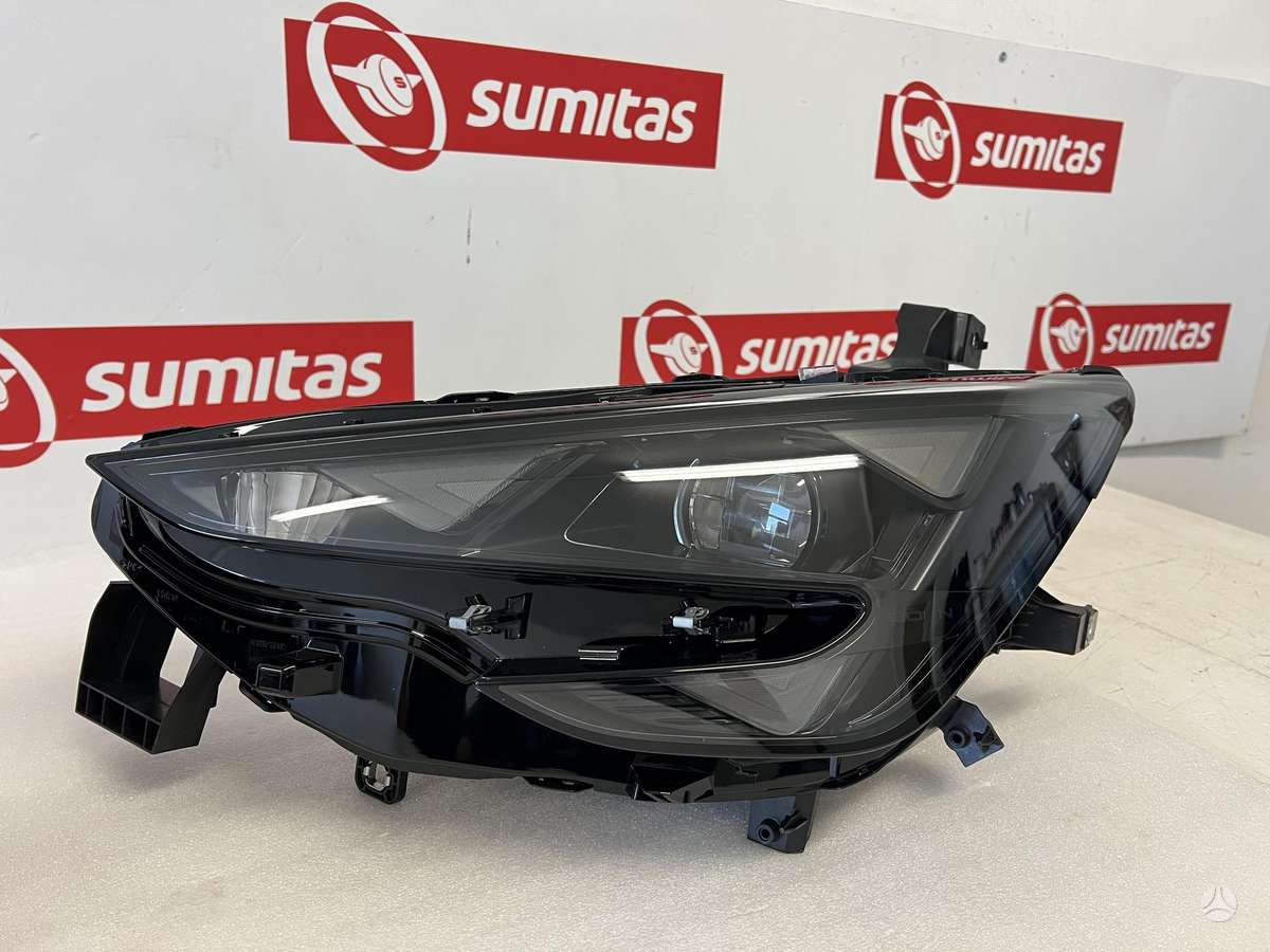 Cupra Born, 10E807231 10E807421, kėbulo dalys
