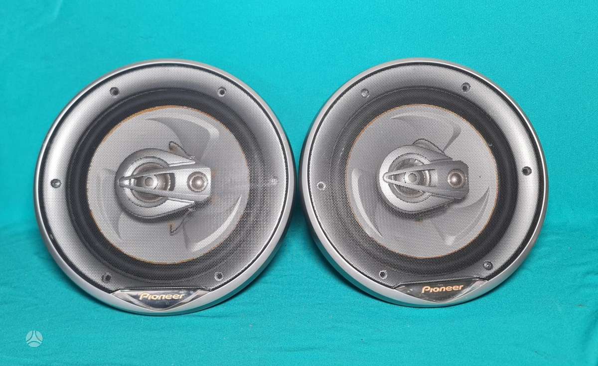 Pioneer Ts-e2095, динамики