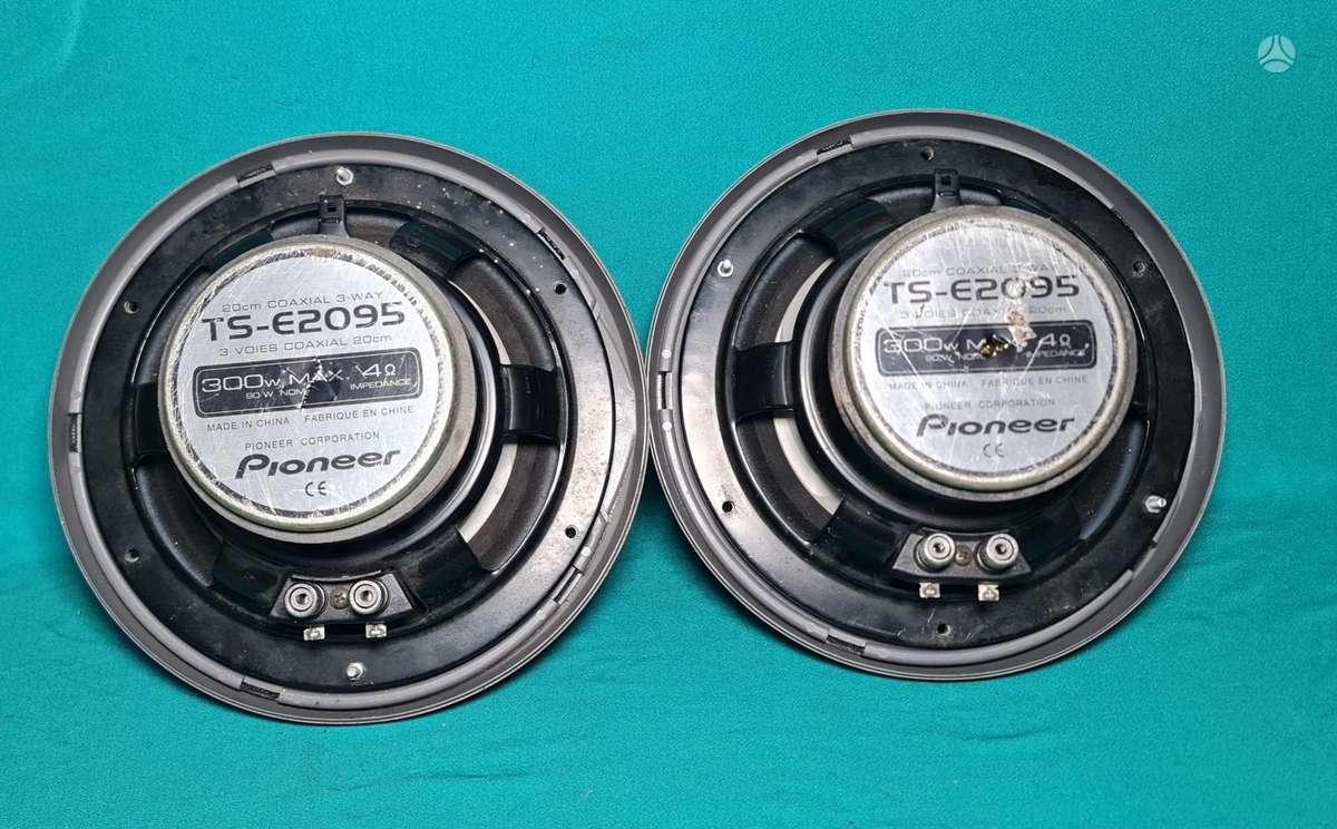 Pioneer Ts-e2095, garsiakalbiai