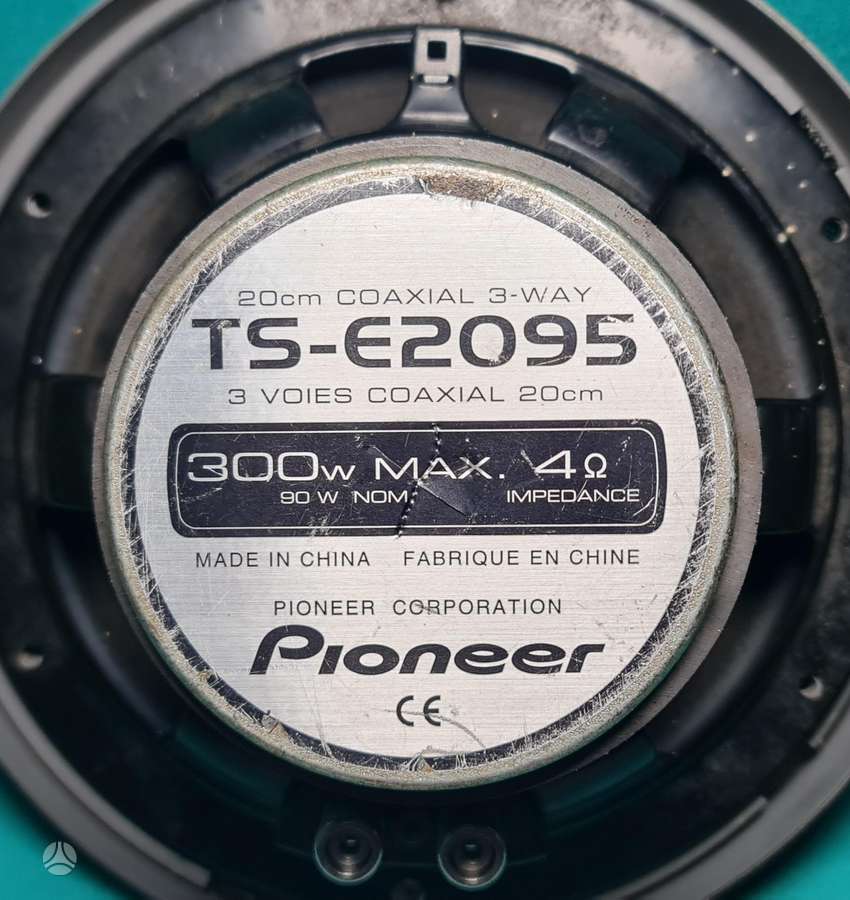 Pioneer Ts-e2095, garsiakalbiai