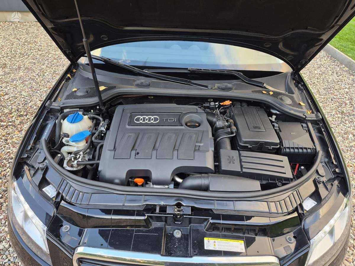 Audi A3, 1.6 l., hatchback