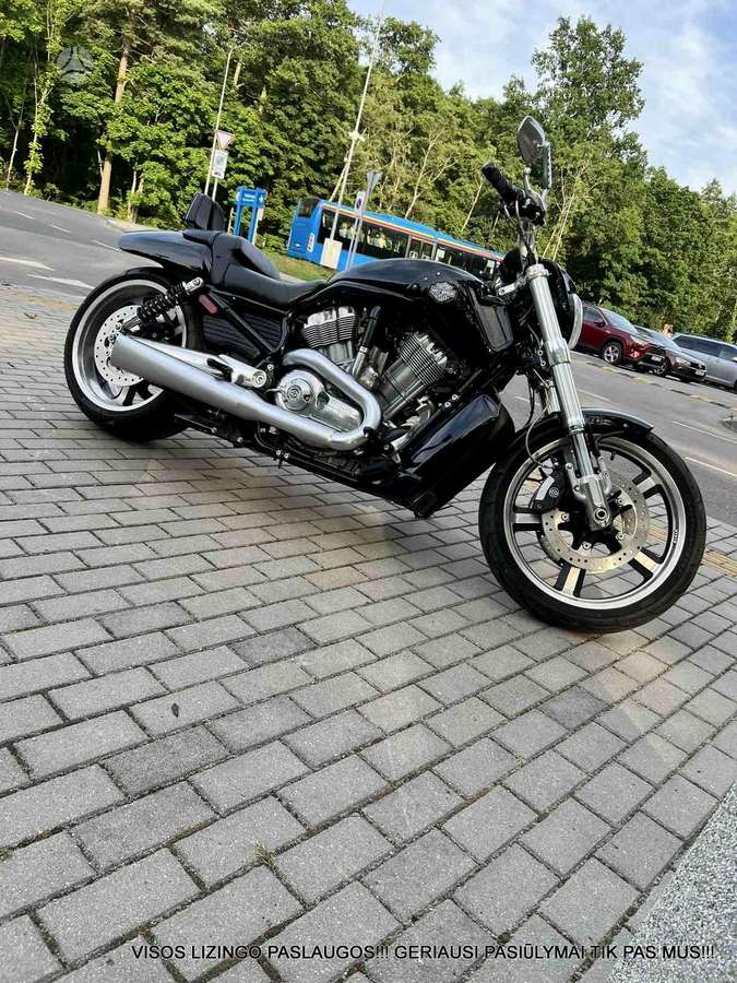 Harley-Davidson VRSCF 1247cc, choppers / cruisers / custom