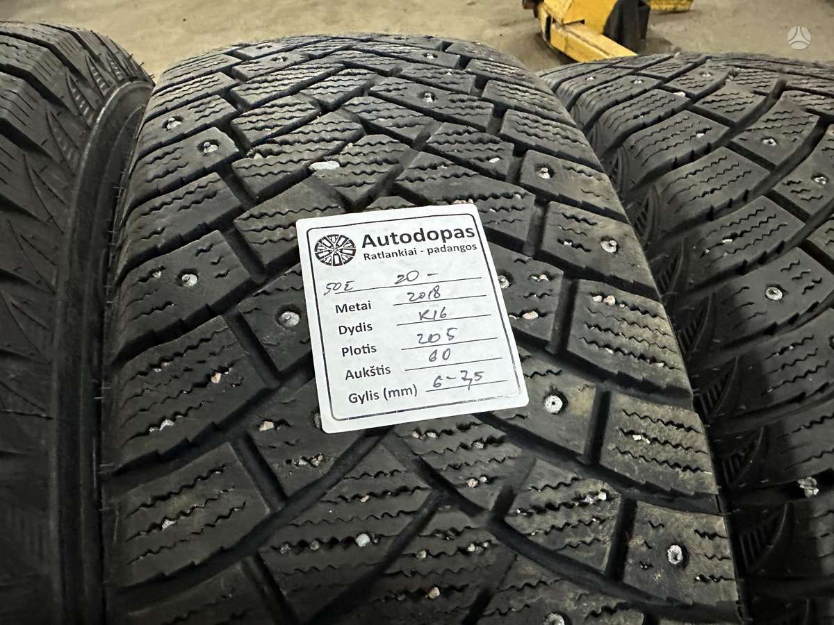 Leao, winter 205/60 R16