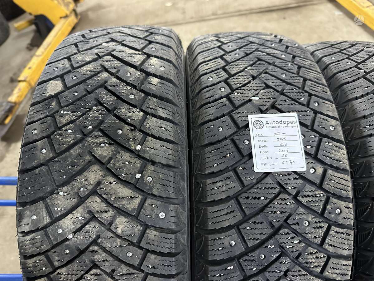 Leao, winter 205/60 R16