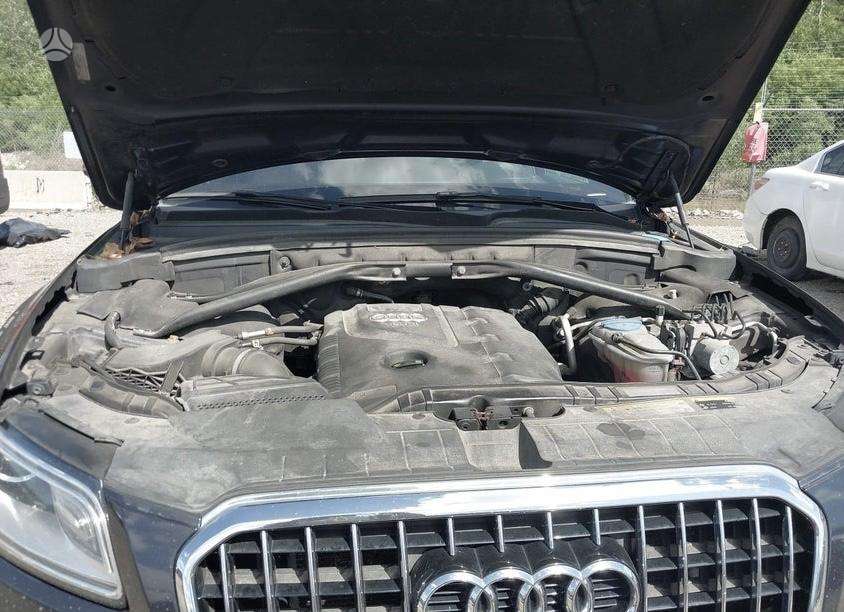 Audi Q5, 2.0 l., Внедорожник / Кроссовер