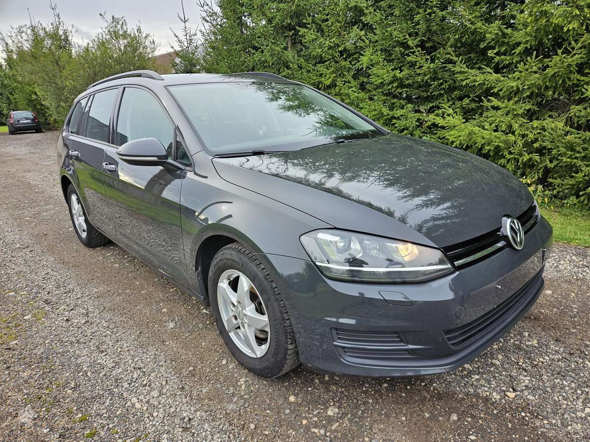 Volkswagen Golf, 1.6 l., Универсал