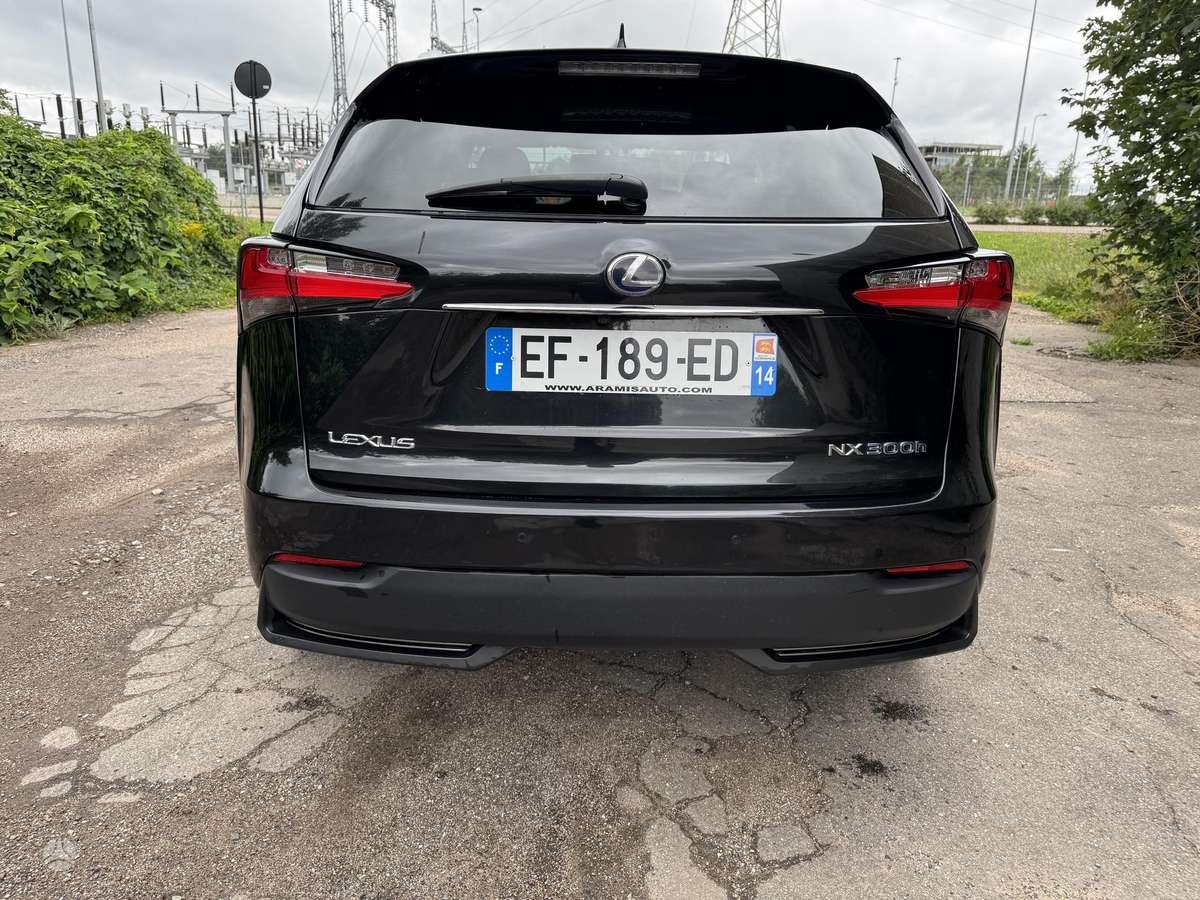 Lexus NX 300h, mpv / minivan