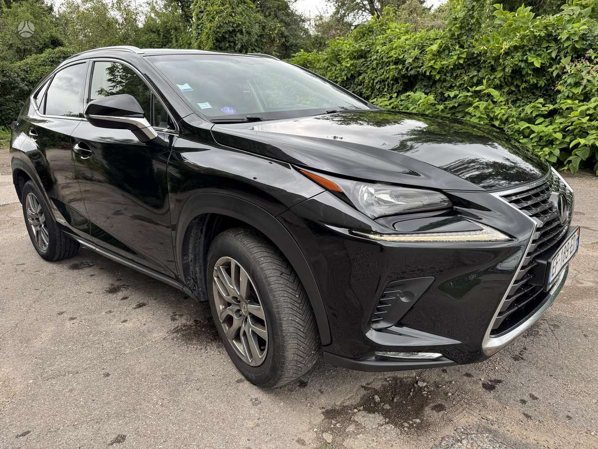 Lexus NX 300h, mpv / minivan