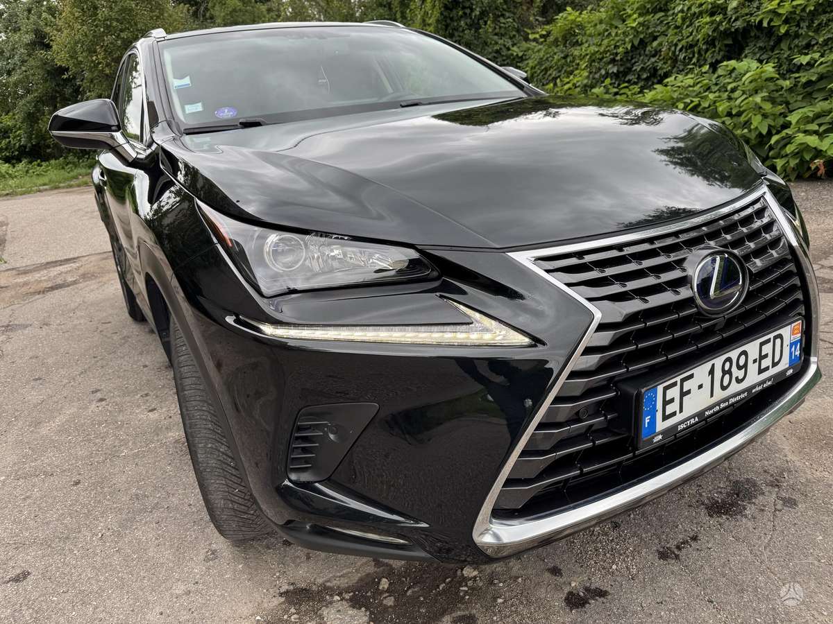 Lexus NX 300h, mpv / minivan