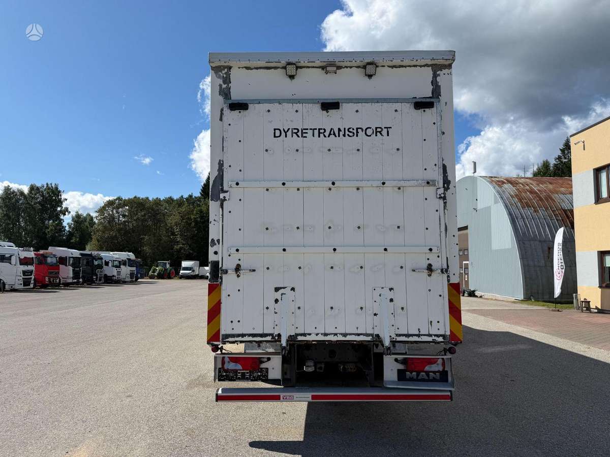 MAN TGX 26.480, gyvulių pervežimo