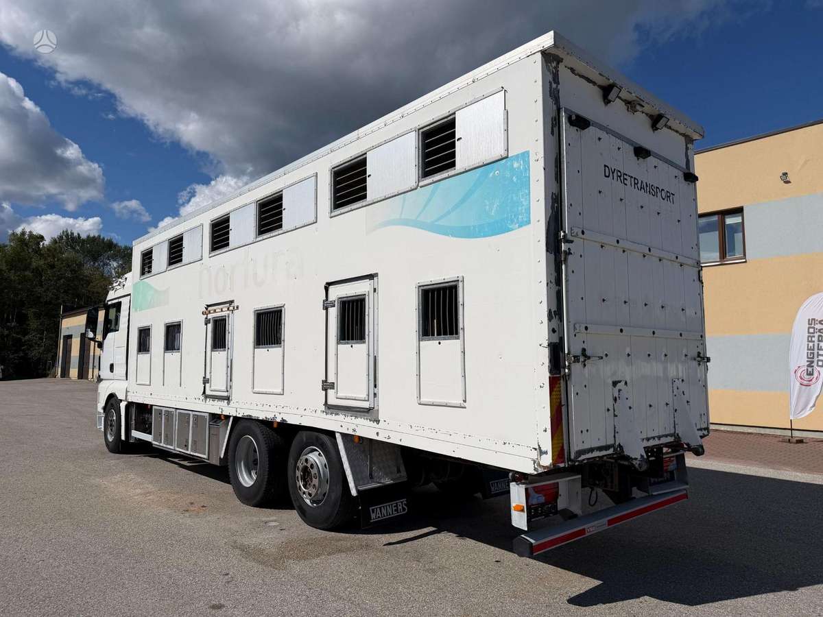 MAN TGX 26.480, gyvulių pervežimo