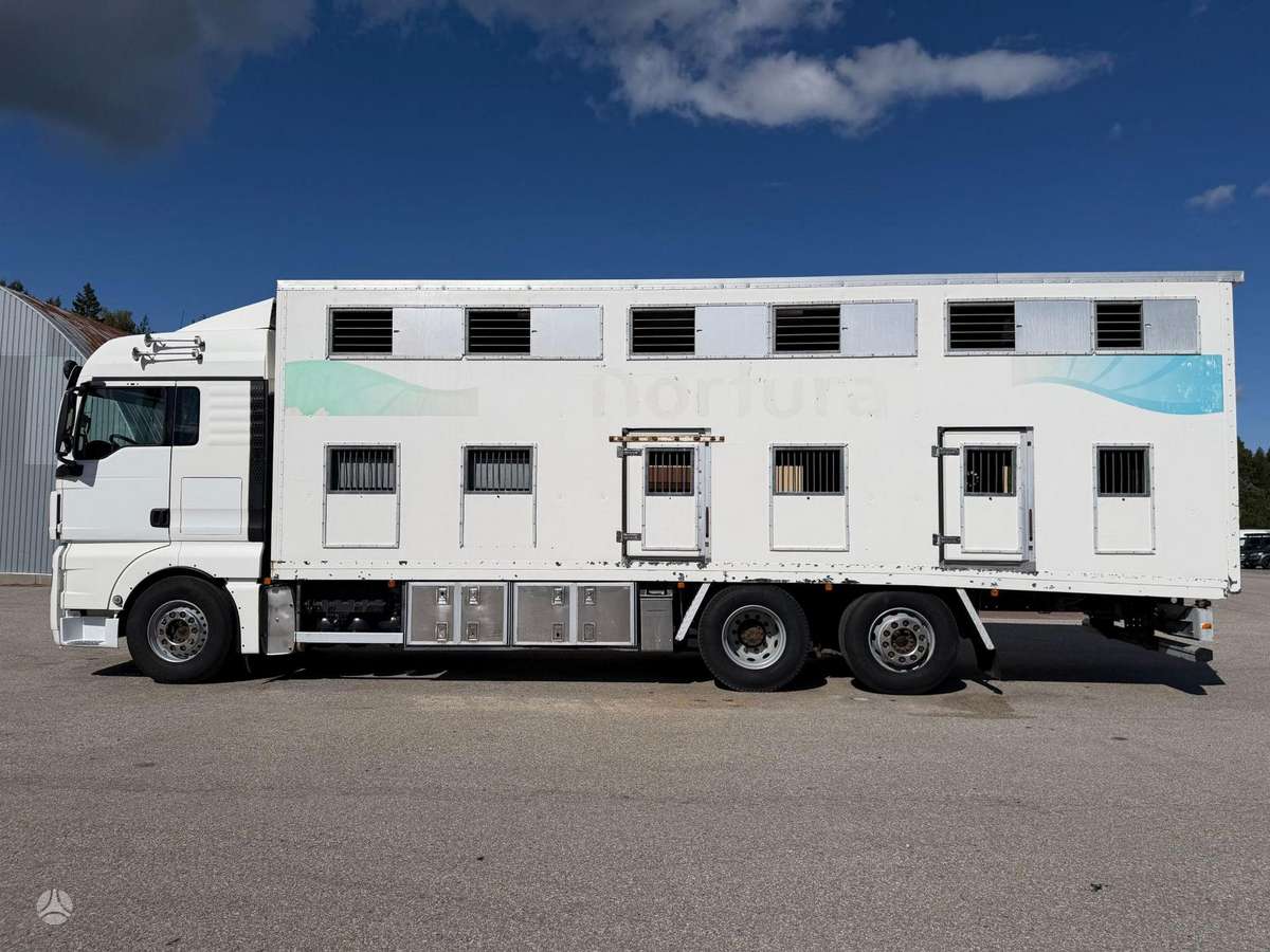 MAN TGX 26.480, gyvulių pervežimo
