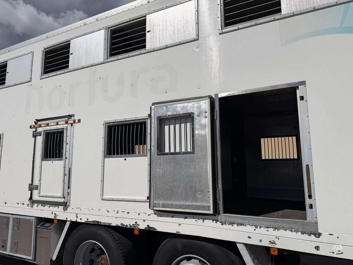 MAN TGX 26.480, gyvulių pervežimo