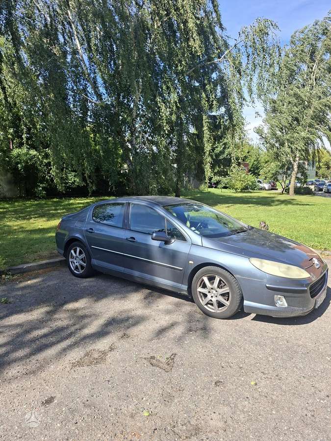 Peugeot 407 - 1