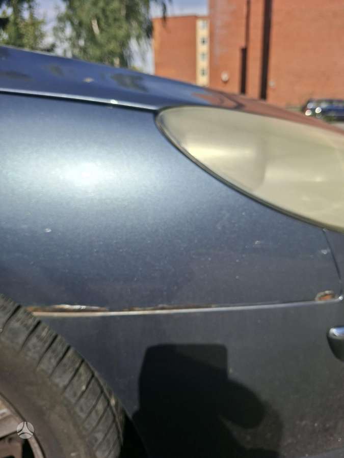 Peugeot 407 - 6