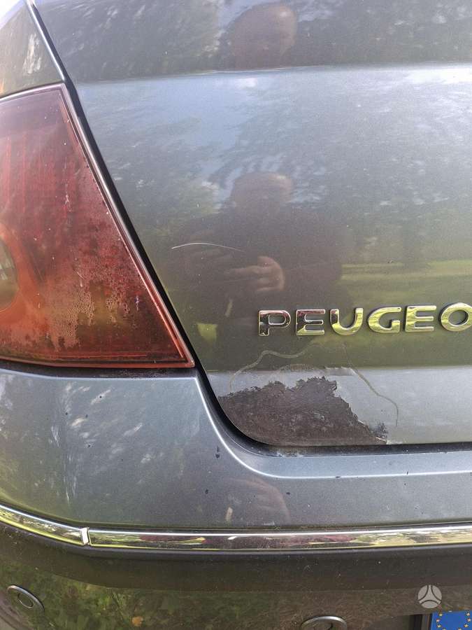 Peugeot 407 - 12