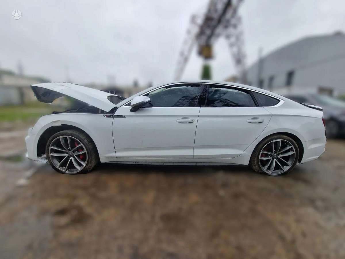 Audi S5 dalimis. Dalimis