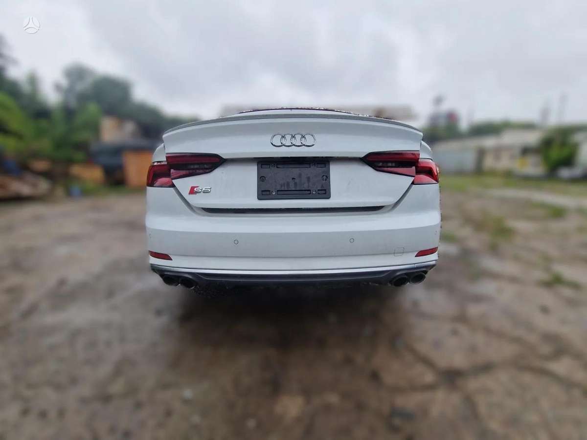 Audi S5 dalimis. Dalimis