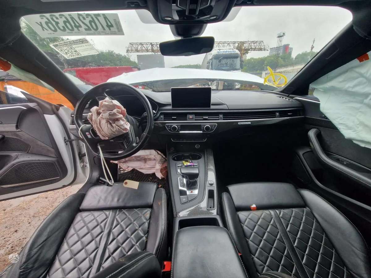 Audi S5 dalimis. Dalimis
