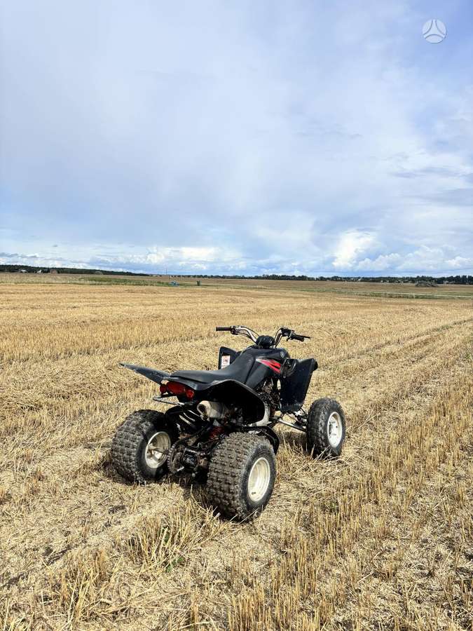 Yamaha Raptor 350cc, квадроциклы