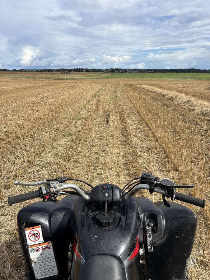 Yamaha Raptor 350cc, квадроциклы
