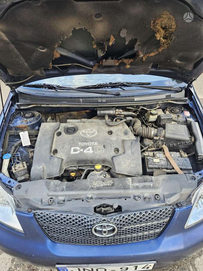 Toyota Corolla, 2.0 l., hatchback