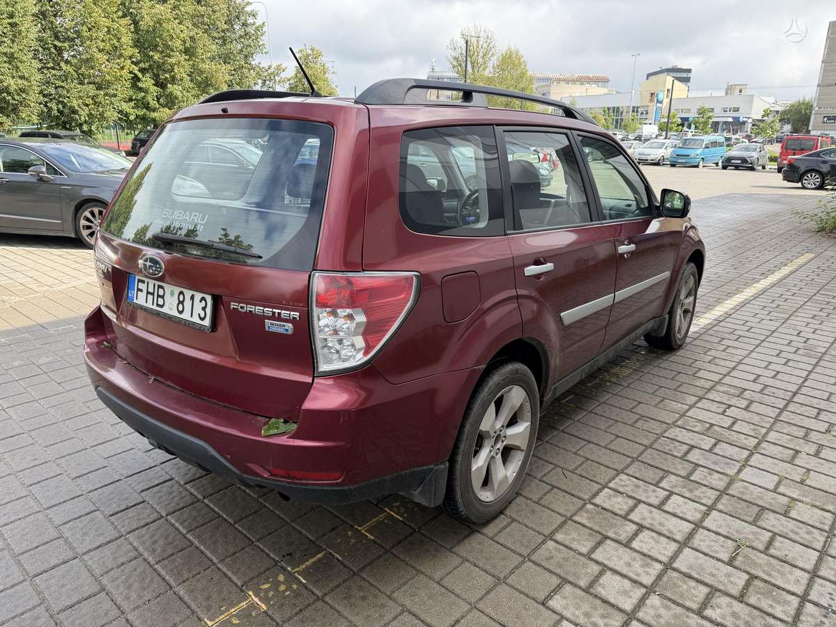 Subaru Forester - 4