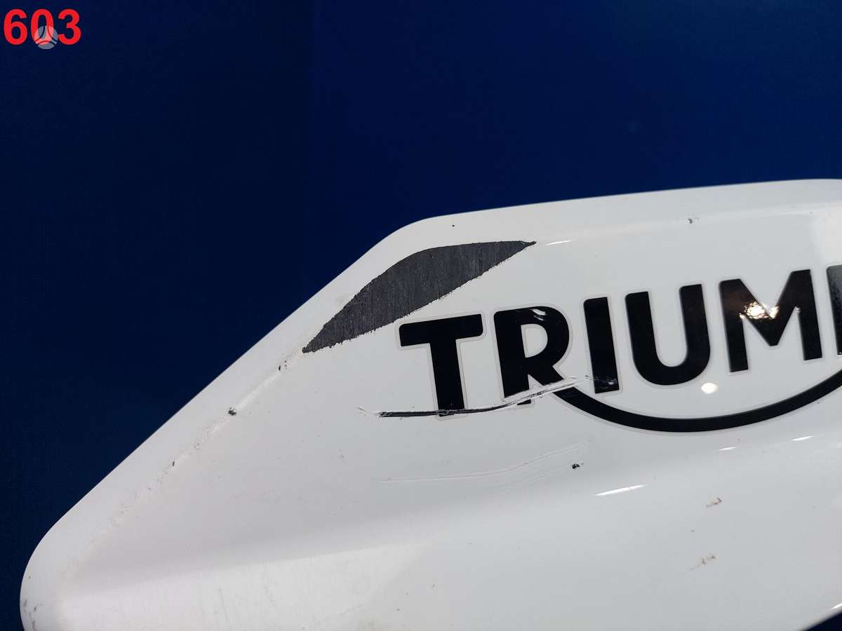 Triumph Tiger, enduro / adventure