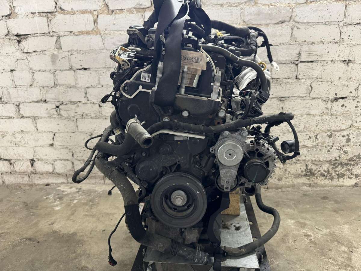 Ford Focus, ZTDA, variklis