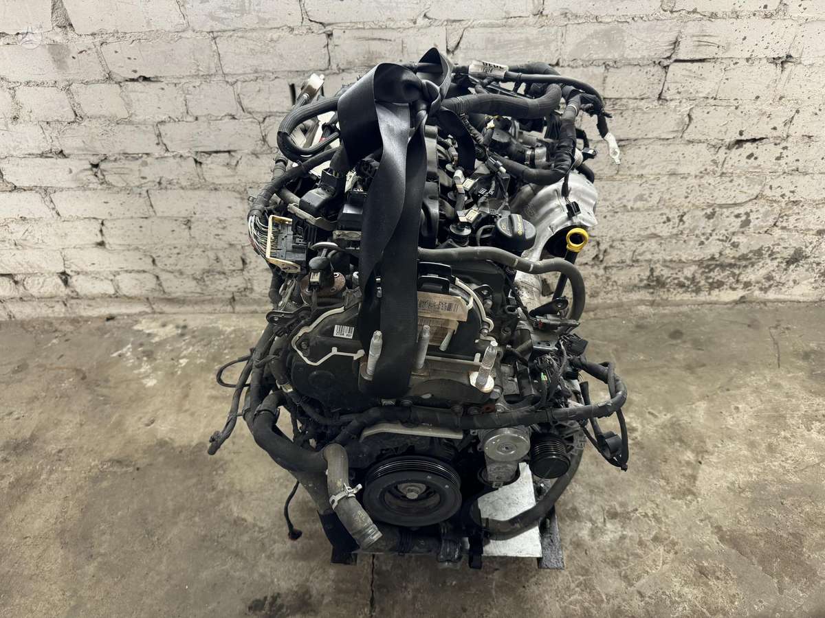 Ford Focus, ZTDA, двигатель
