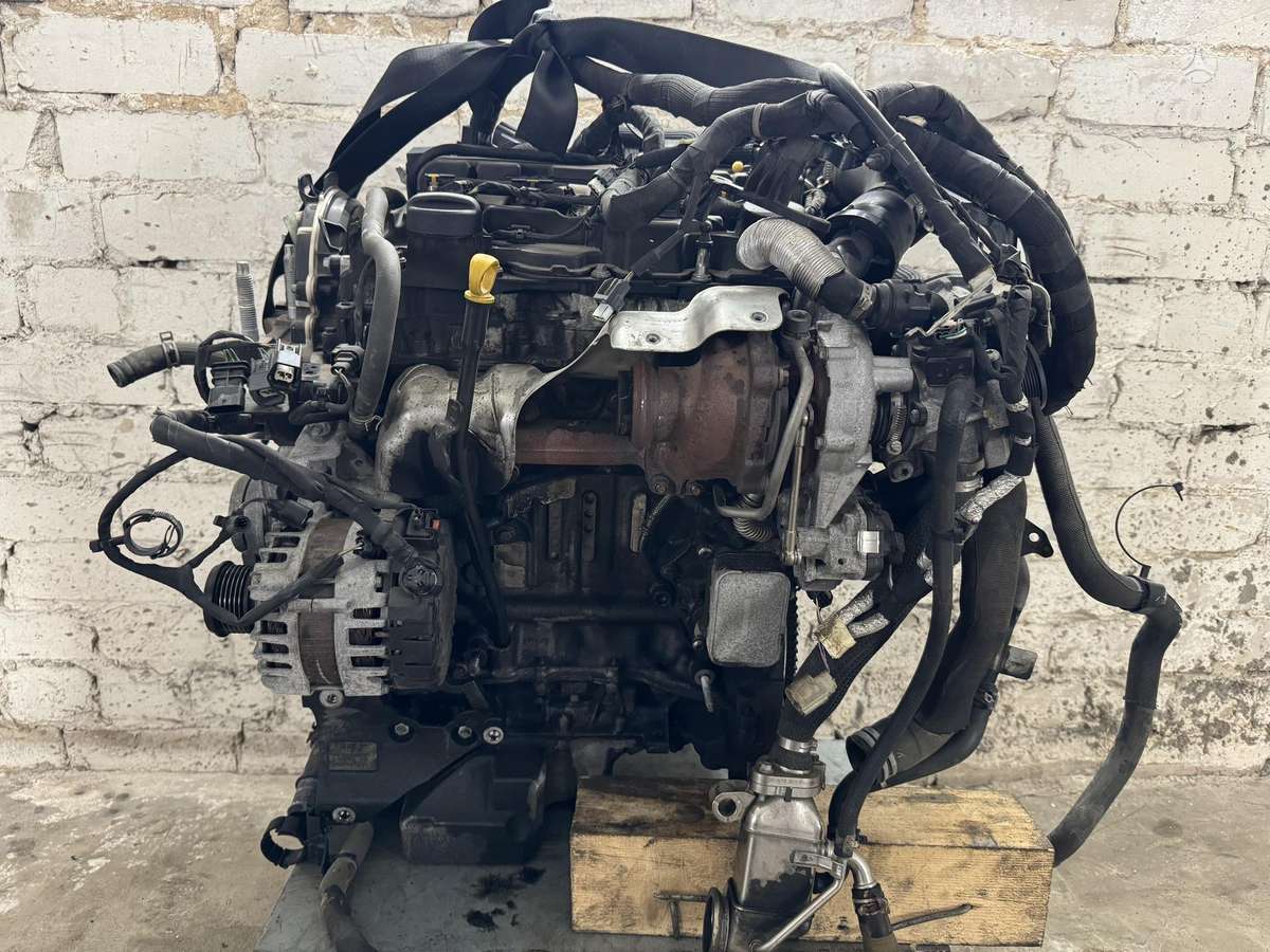 Ford Focus, ZTDA, двигатель