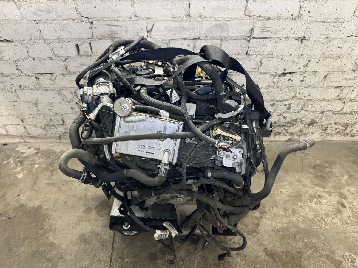 Ford Focus, ZTDA, двигатель