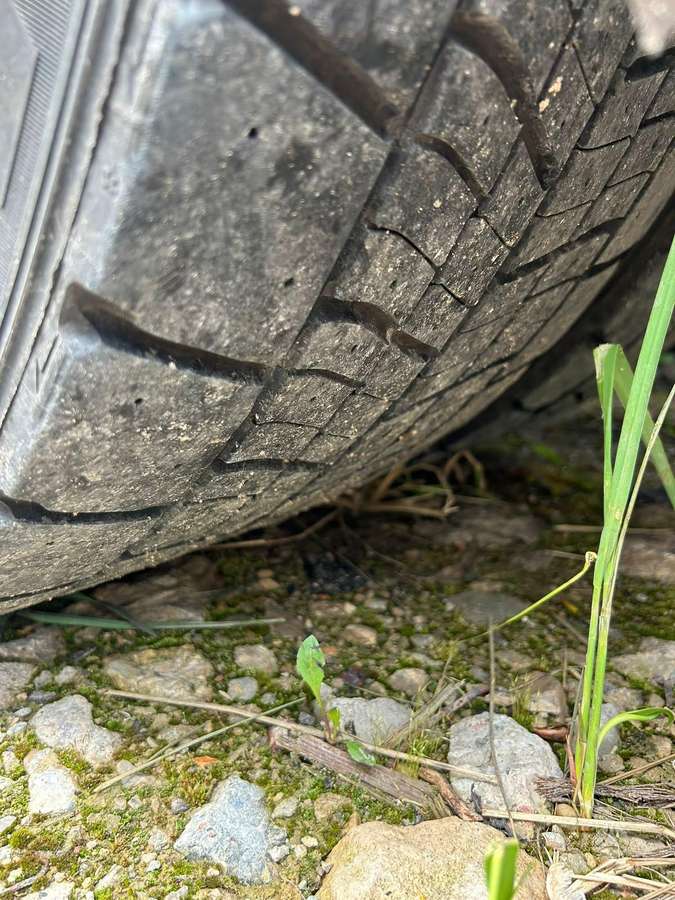 Renault D Wide, autovežiai