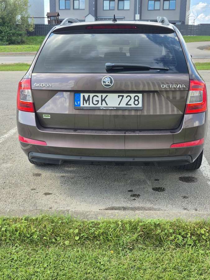 Škoda Octavia - 5
