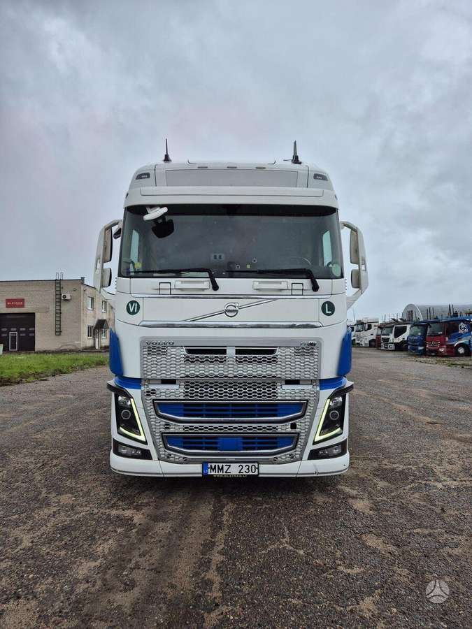 Volvo + ROLFO 2017, autovežiai