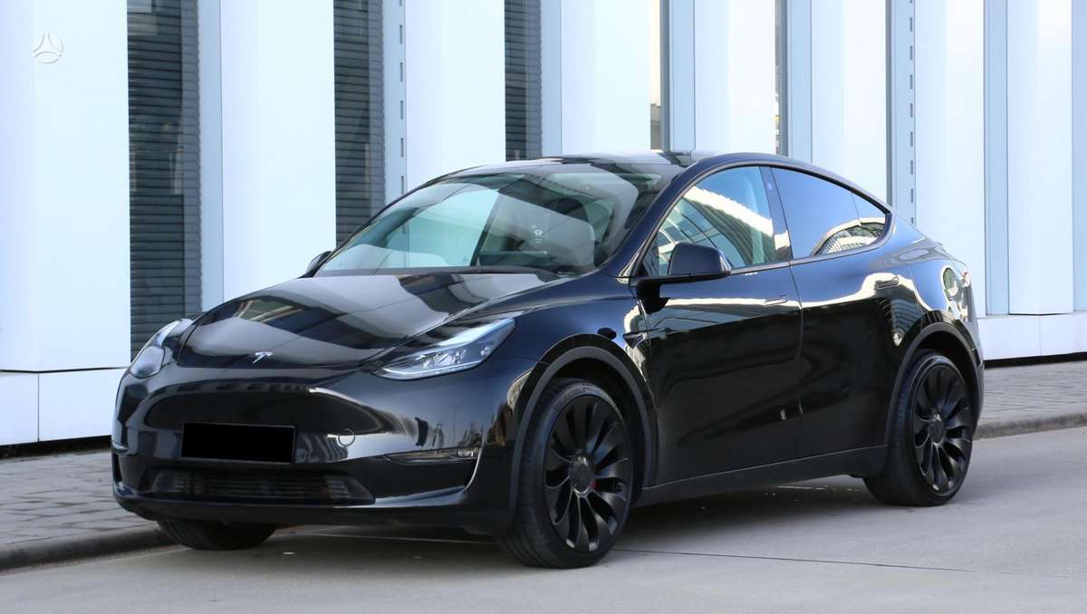 Tesla Model Y, Хэтчбек