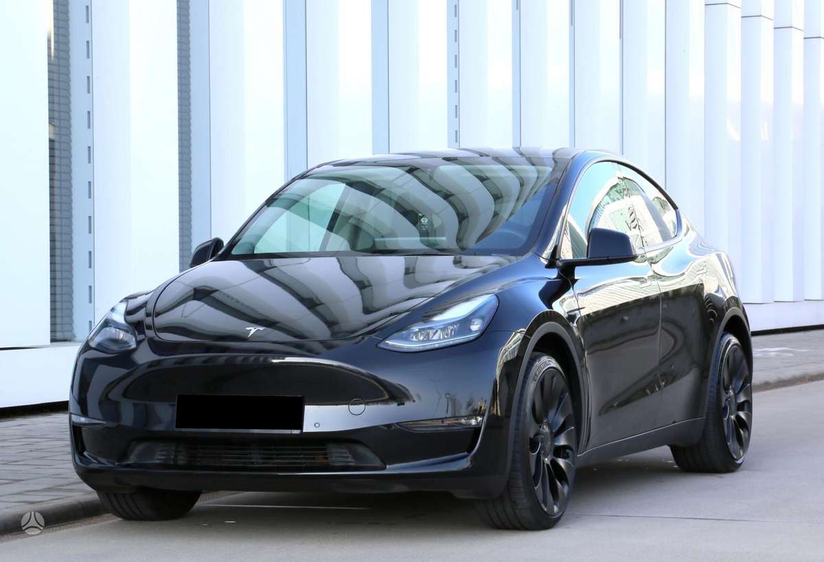 Tesla Model Y, Хэтчбек