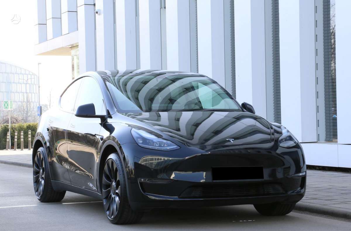 Tesla Model Y, Хэтчбек