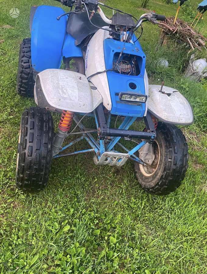 Polaris Trail 250cc, квадроциклы
