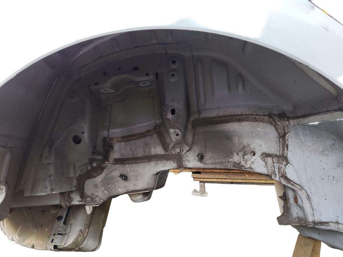 Tesla Model 3 dangtis (priekinis, galinis)