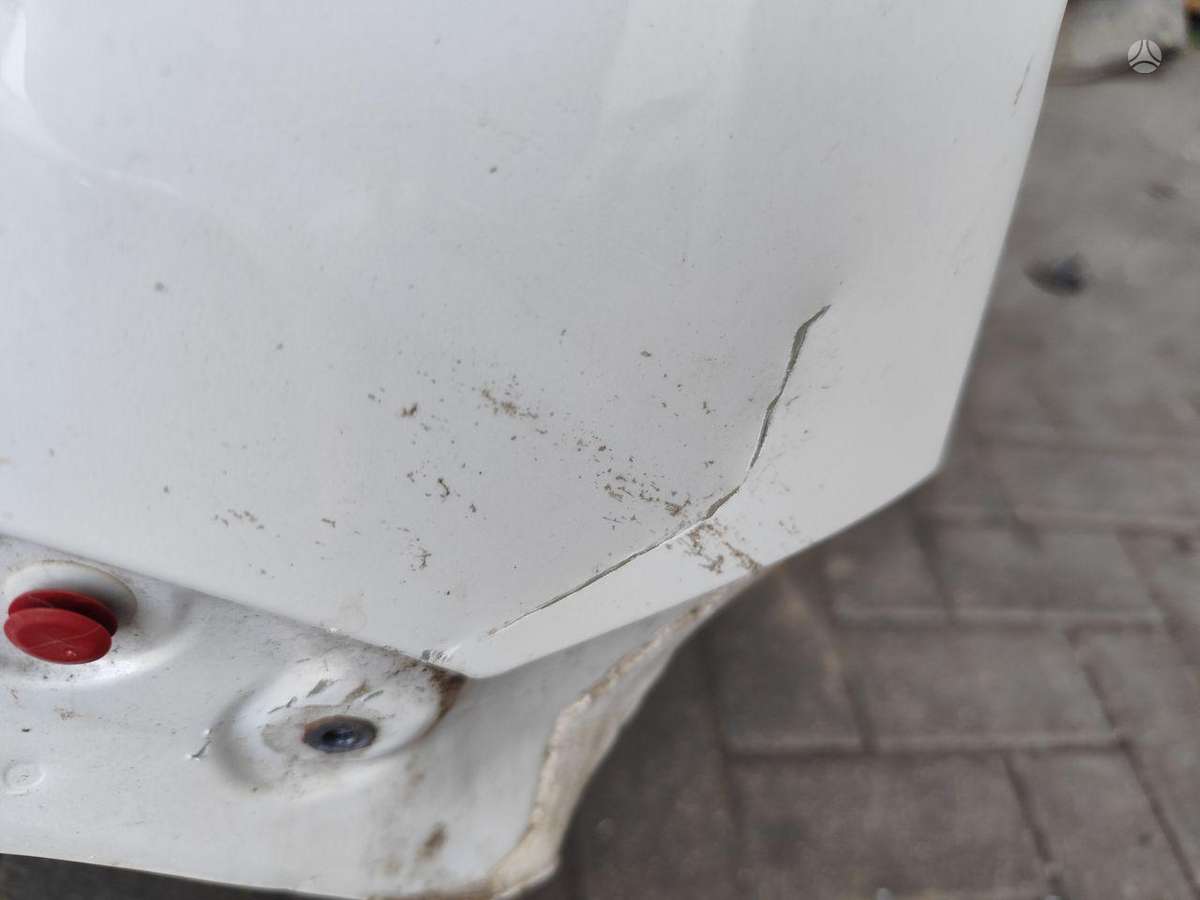 Mini Cooper hood (front, rear)