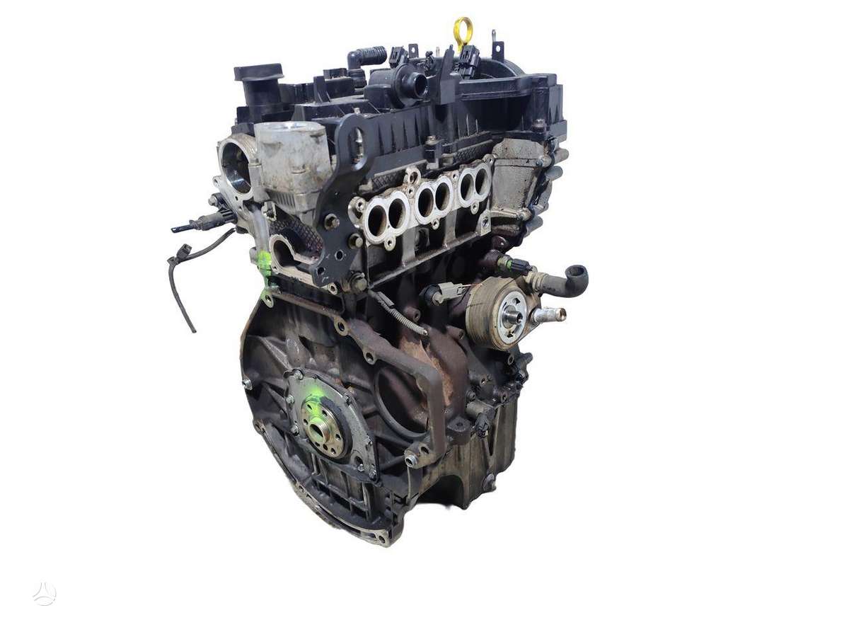 Ford Focus, M1DD, tepalai, alyvos