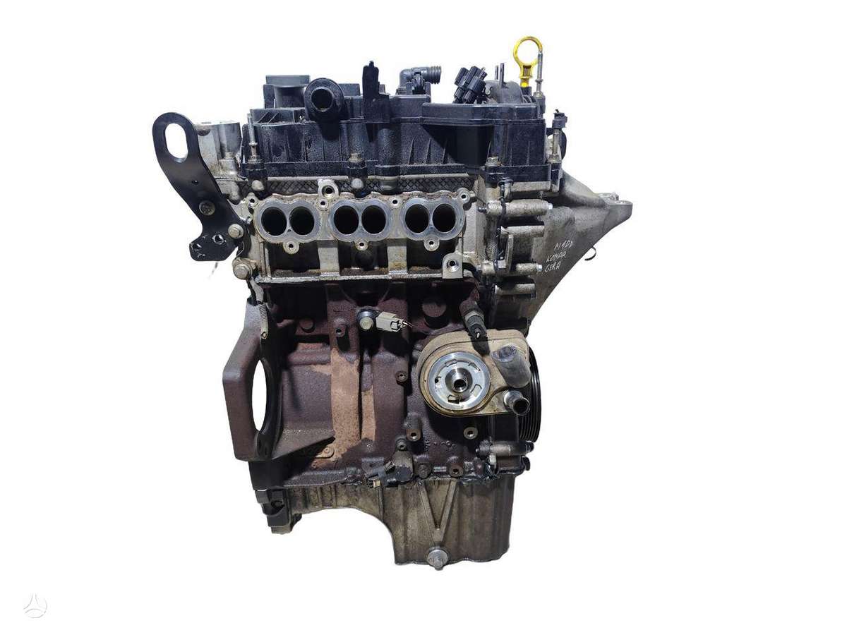 Ford Focus, M1DD, lubricants, oils